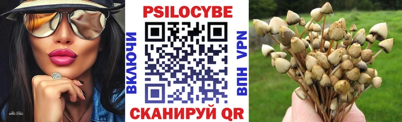 Псилоцибиновые грибы мицелий  продажа наркотиков  Светлогорск 